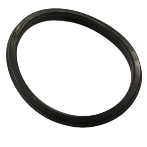 DOUBLE-LIP GASKET (DE) SCM code 0000706005E