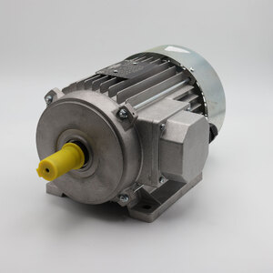 THREE-PHASE MOTOR S6/40% SCM code 0001326221E