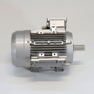 MOTOR 100 B3 P2 KW4 V400/690EU SCM code 0001337809G