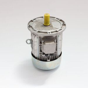 MOTOR 132 B5 P2 15KW 400/690V50 SCM code 07L0109799B