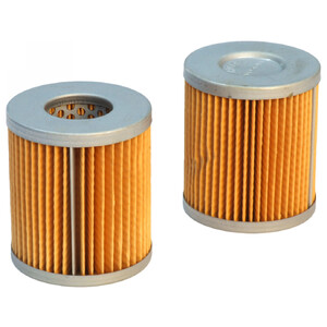 FILTER VTA 100 (731142-9) RIETSCHLE SCM code 1090300349E