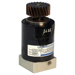 ASS. RIDUTTORE PIGNONE VECTOR '05 SCM code 2766130536C