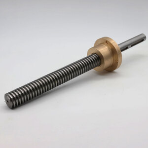 SCREW + NUT 30x6 SCM code 29L0031583F